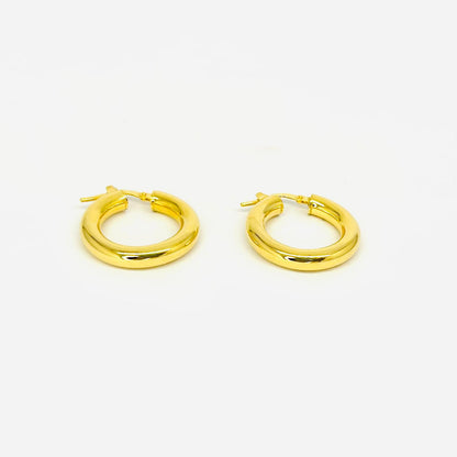 Orecchini Donna Argento 925 Placcato Oro Cerchio _AGO008