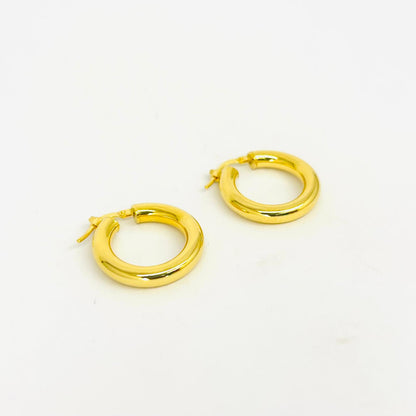 Orecchini Donna Argento 925 Placcato Oro Cerchio _AGO008
